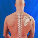 Phiêu Lưu Profile Picture