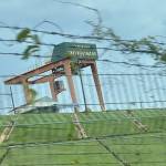 689689 Profile Picture