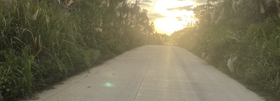 Thuỵ Pham Cover Image