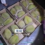 Long Nguyen Profile Picture