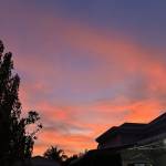 Nguyn Nguyen Profile Picture