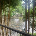 Anh Nguyễn Profile Picture