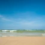 Nam Ha Profile Picture