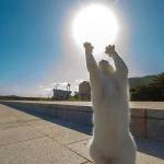 Tvd22 Profile Picture