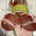 Tâm Lê Profile Picture