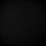 Taptap Tap Profile Picture