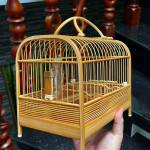 Thaiphuc Profile Picture