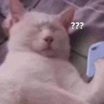 KaLong Profile Picture