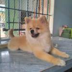 Nguyên Trịnh Profile Picture