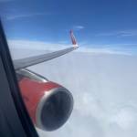 Tinh Nguyen Profile Picture