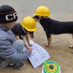 Nghia Lham Profile Picture