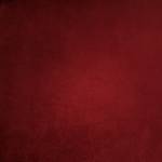 Nhi Doan Profile Picture