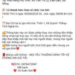 Alexduong Profile Picture