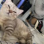 Thiên Kỳ Profile Picture