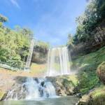 Lưu Pham Profile Picture