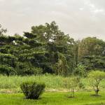 Ran Vương Profile Picture