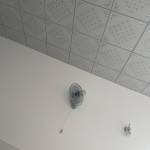 Binh Phan Profile Picture