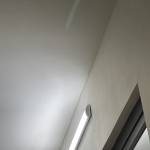 Nguyễn Văn Vũ Profile Picture