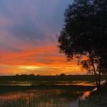 Thiên Nguyễn Profile Picture