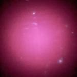 sơn lê Profile Picture