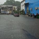 Bach Nguyen Profile Picture