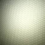 Nguy Dung Profile Picture