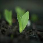 Huy Hoàng Profile Picture