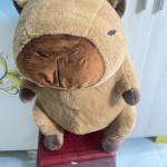 Vương Xưng Profile Picture