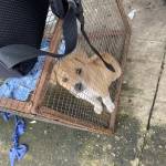 Minh Nguyen Profile Picture