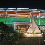 Sơn Sơn Profile Picture