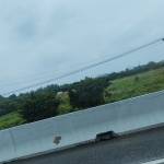 Hải Nam Nguyễn Profile Picture