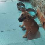 Cctaone1411 Profile Picture