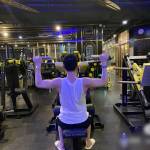 Dog Tire Profile Picture