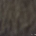 Long Hồng Profile Picture