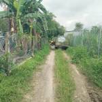 Tài Ngô Profile Picture