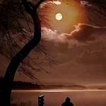 Khong Pk Profile Picture