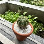 Quang thanh Nguyên Profile Picture