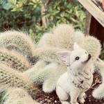 Key2008 HI Profile Picture