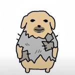 Quang Trần Profile Picture