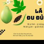 khang pham Profile Picture