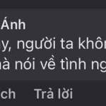 Thành An Profile Picture