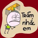 Socolasua87 Profile Picture