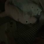 Tùng Profile Picture