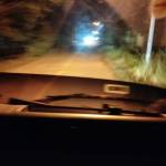 Hai Trâng Profile Picture