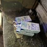 huy huy Profile Picture