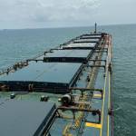 Bảo Phạm Thiên Profile Picture