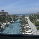 Linh Phan Profile Picture