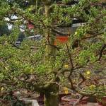 Code10 Profile Picture