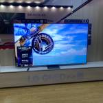 Hai Nguyen Profile Picture