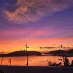 Cuong Chi Profile Picture